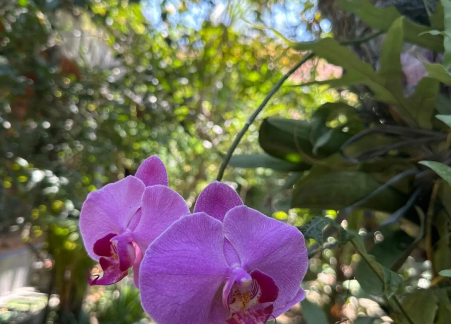 Diuma Residence Yoga Meditation Retreat And Healing Center Sanur Gasthuis