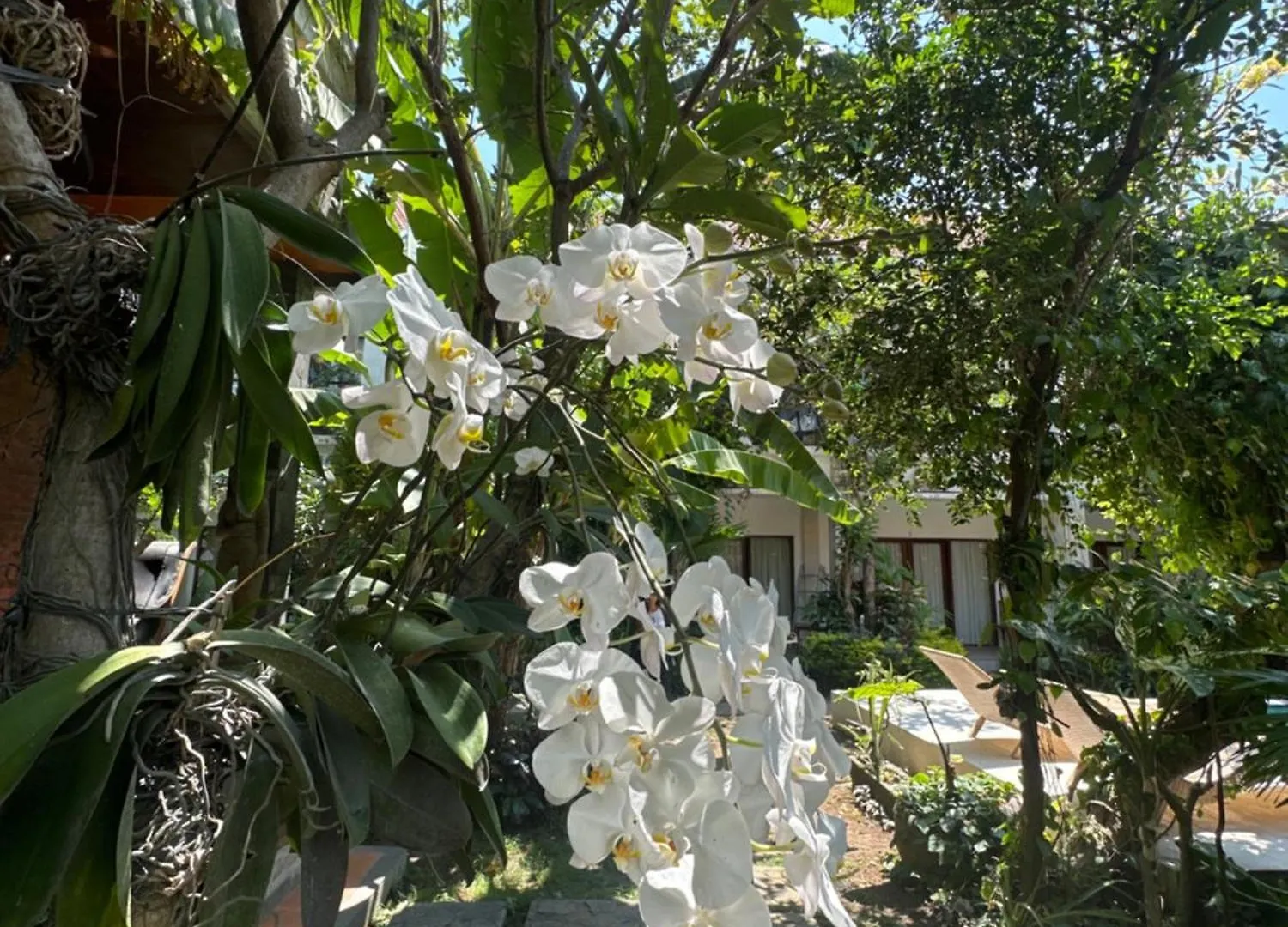 Diuma Residence Yoga Meditation Retreat And Healing Center Sanur